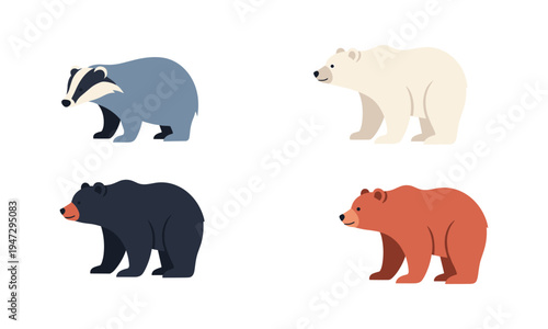 Four distinct types of bears illustrated in simple graphics