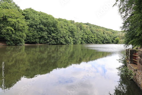 Blickmauf den Hammerteich in Witten
