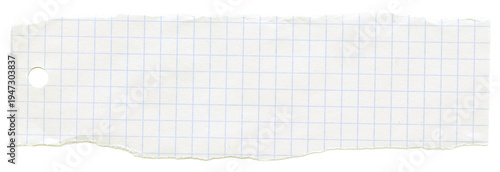 Checkered graph line torn ripped paper. Scrapbook collage crumpled piece. Note memo sheet