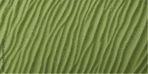 Abstract green banana leaf texture shows a fresh natural pattern of veins in a bright macro closeup of summer foliage