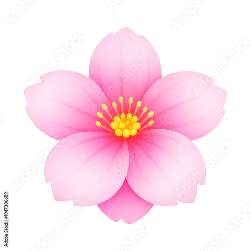 PNG Delicate pink cherry blossom illustration.