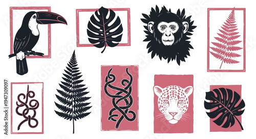 A collection of stylized graphic illustrations featuring tropical jungle elements including a toucan, monkey, leopard, monstera leaves, ferns, and organic vine patterns, presented in a modern framed c