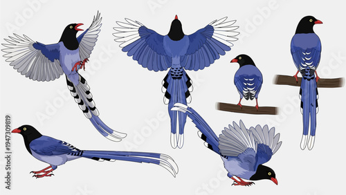 Fényképezés Vibrant illustrative study of a striking blue bird, showcasing its distinctive l