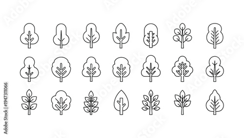 A collection of diverse ancient and traditional musical instruments from various cultures Vector