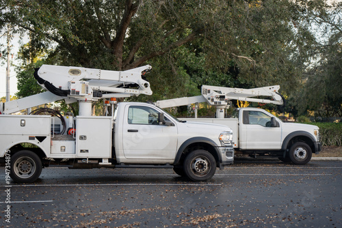 Tableau sur toile Two white bucket trucks parked side by side on an asphalt lot beneath large tree