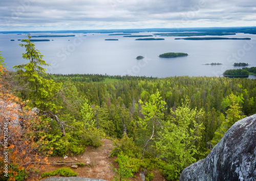 Koli National Park in the m...
