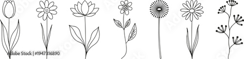 Black and white line drawings of various flowers on white background floral tulip
