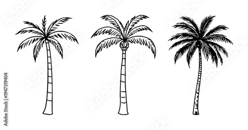 Palm tree icon set with a single black vector silhouette featuring tropical island, foliage, palm leaf with silhouette and monochrome