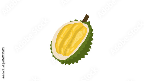 Sliced Durian Fruit Illustration on white background