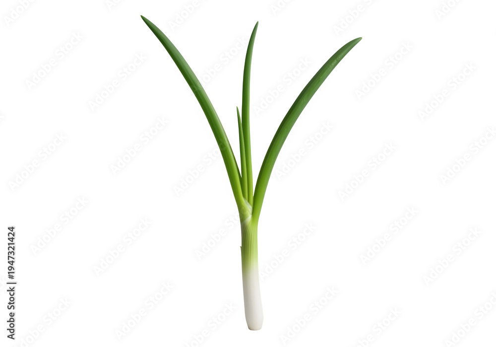 Obraz premium A green plant sprout with three leaves on a black background