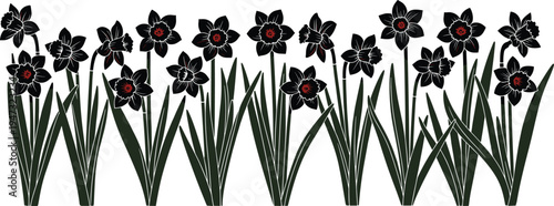 Black silhouette of narcissus and daffodil flowers with green leaves representing spring season nature botany garden growth and floral decoration.