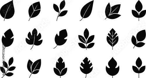 Set of black leaf silhouettes and foliage icons representing nature, botany, environment, organic growth, garden elements, and eco friendly design symbols.