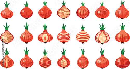 Black red onion vector illustration set on white background, organic vegetable icons, healthy food ingredient flat design, cooking kitchen element.