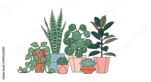Indoor houseplants collection in pots home gardening concept with tropical foliage succulents and decorative plants vector illustration