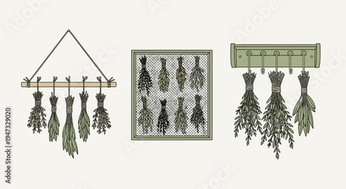 Set of dried herbs hanging and framed for kitchen decoration.