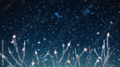 Enchanting Night - Fireworks and Sparkling Lights Display.