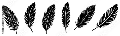 Black Feather Silhouettes Set, Collection of Different Bird Feathers for Tattoo and Design, Vector Wing Quill Icons Isolated on White