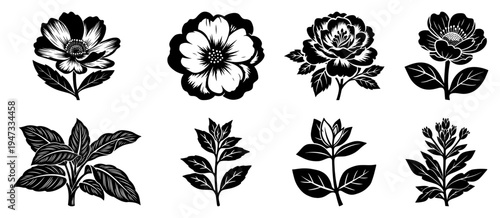 Floral Silhouette Set of Flowers and Leaves, Elegant Botanical Icons with Peony and Rose Shapes, Nature Decorative Elements for Invitation Design