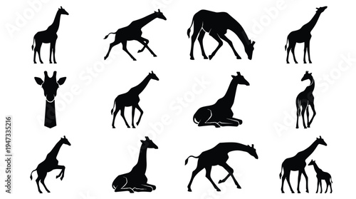 Collection of various giraffe silhouettes in different poses.