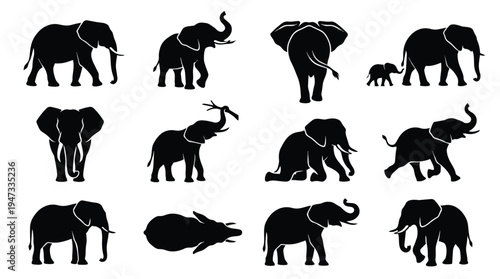 Collection of various elephant silhouettes in different poses.