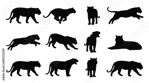 Collection of various tiger silhouettes in different poses.