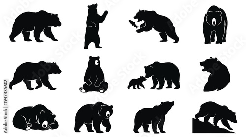 Collection of various bear silhouettes in different poses and actions.