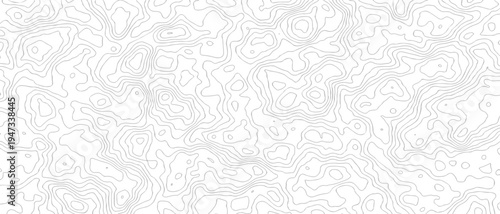  topographic contour line map background, geographic terrain elevation pattern, cartography style texture hiking navigation and modern minimal wallpaper