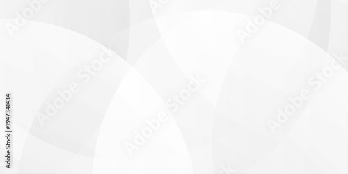 abstract white and gray geometric background with overlapping circles and soft gradient light effects for web design. wave background with soft flowing light curves; minimalist elegant vector style 