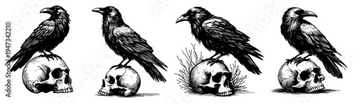 Ravens Perched on Human Skulls Collection, Gothic Horror Crow and Death Symbols Hand Drawn Sketch Vector Illustration
