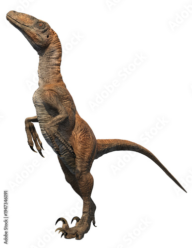 Deinonychus velociraptor dinosaur 3d render