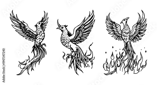 Phoenix set with detailed woodcut style illustration of a phoenix rising from flames featuring high contrast black ink, mythical aesthetic, with white background and black and white