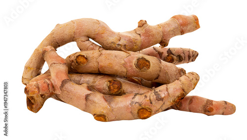 Tableau sur toile Turmeric or Curcuma longa rhizomes isolated on transparent background