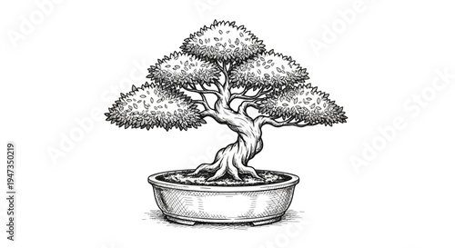 Hand Drawn Bonsai Tree in Ceramic Pot Sketch