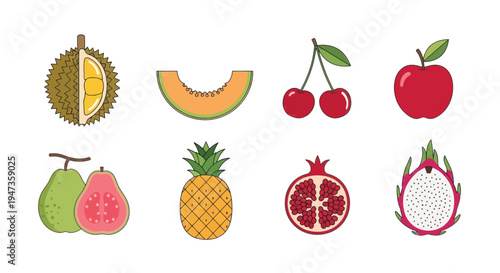 Assorted tropical fruit illustrations on white