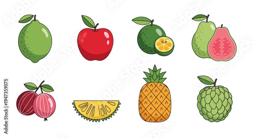 Assortment of colorful fresh fruits