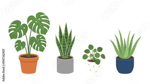 Vibrant potted house plants Monstera Snake Pilea Aloe with unique leaf shapes flat design.