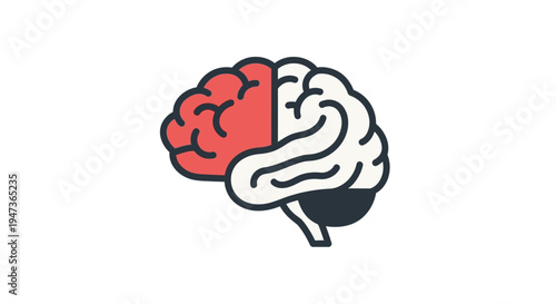 Brain Divided Left Right.