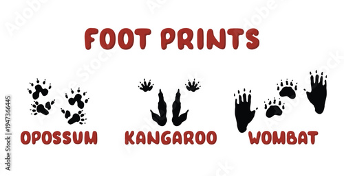 Australian animal footprints set with opossum kangaroo and wombat tracks icons. Vector isolated illustrations of silhouettes of paws