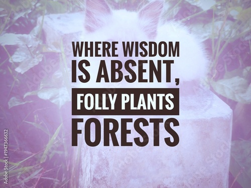 Vászonkép "Quote stating that where wisdom is absent, folly plants forests, reflecting satire on ignorance, growth, and human behavior