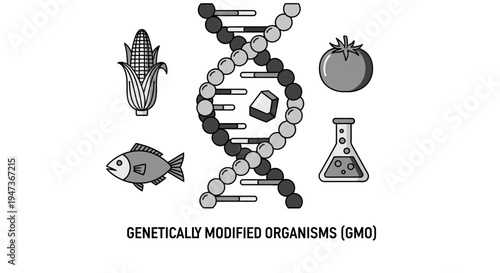 Genetically Modified Organisms (GMO) Concept Illustration with DNA Strand and Food Icons.