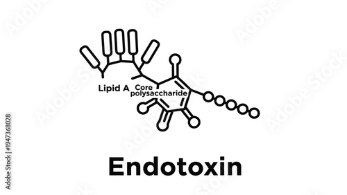 Endotoxin molecular structure diagram showing Lipid A and Core Polysaccharide components.