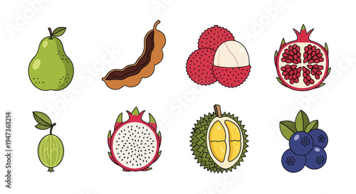 Cartoon illustrations of various fresh fruits
