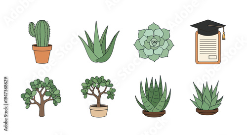 Collection of colorful botanical illustrations