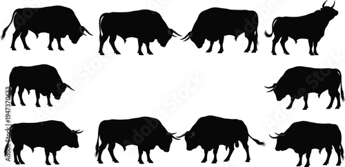 Bull, silhouettes, collection, standing, fighting, aggressive, poses, horns, cattle, livestock, wildlife, strength, power, animal, behavior, isolated, white, background, black, illustration