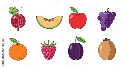 Colorful fruit collection on white background