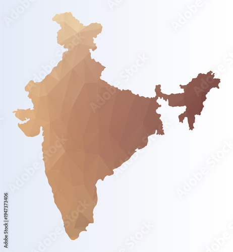Polygonal colourful map of India
