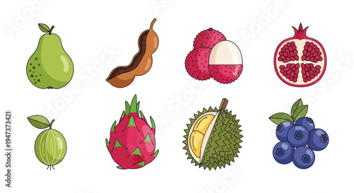 Colorful fruit illustration on white background