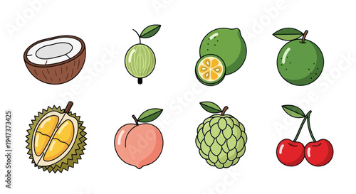 Colorful fruit illustration on white background