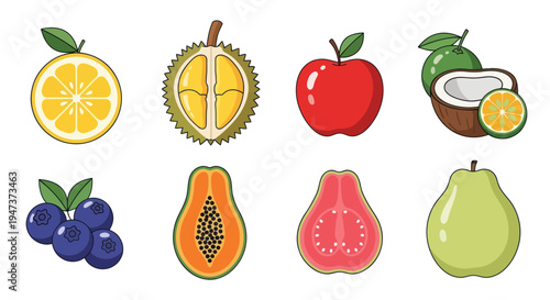 Colorful fruits collection illustration