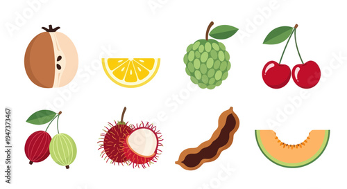 Colorful fruits collection illustration